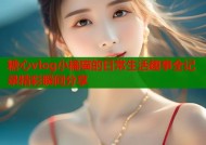 糖心vlog小橘猫的日常生活趣事全记录精彩瞬间分享