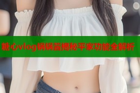 糖心vlog锅锅酱揭秘平家功能全解析