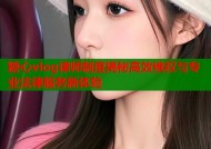 糖心vlog律师制度揭秘高效维权与专业法律服务新体验