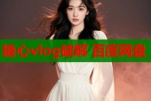 糖心vlog破解 百度网盘