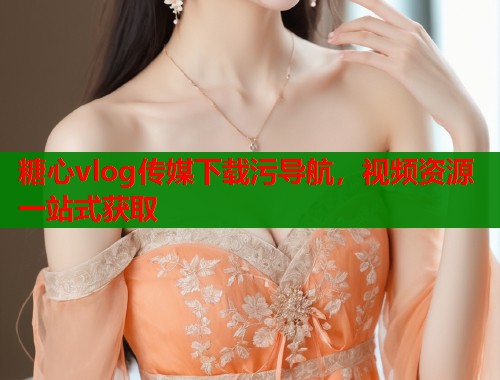 糖心vlog传媒下载污导航，视频资源一站式获取  第1张